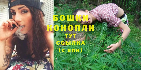 молекула духа Белоозёрский