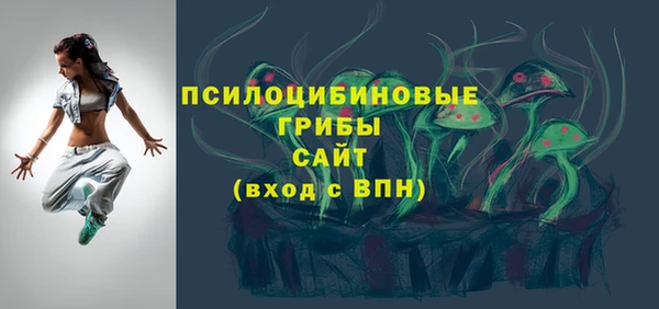 spice Белокуриха