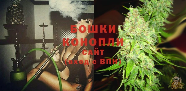 молекула духа Белоозёрский