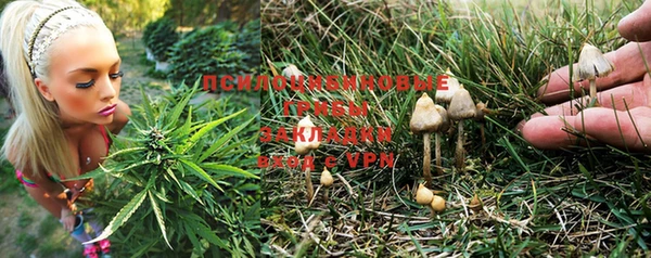молекула духа Белоозёрский